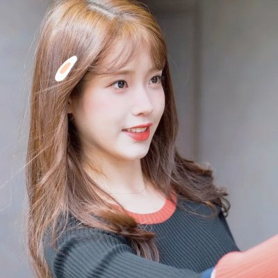 狮子狗行动